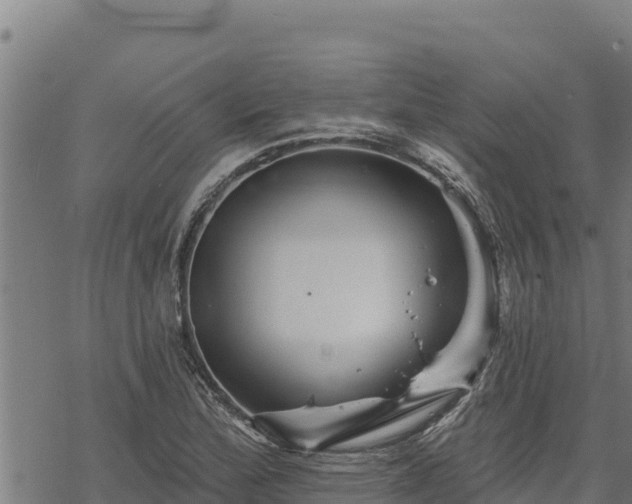 X0000068821172200605121308