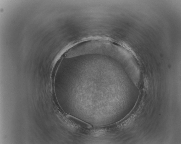 X0000068821173200605121308