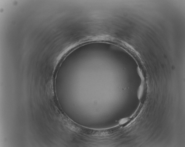 X0000068821174200605121308