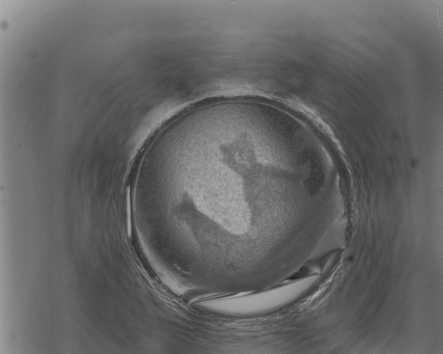 X0000068821175200605121308