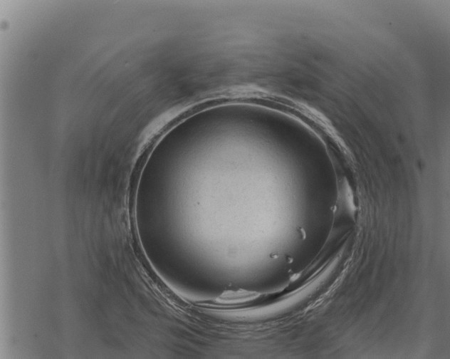 X0000068821176200605121308