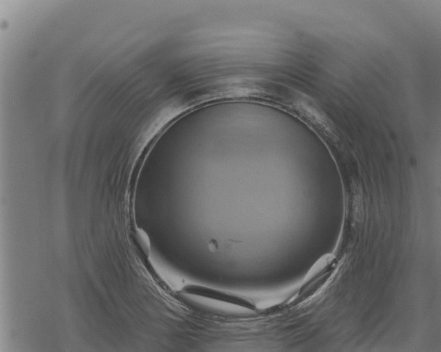 X0000068821178200605121308