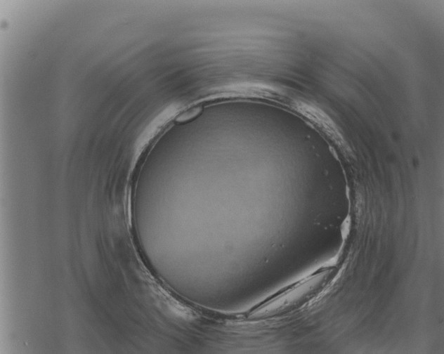 X0000068821180200605121308