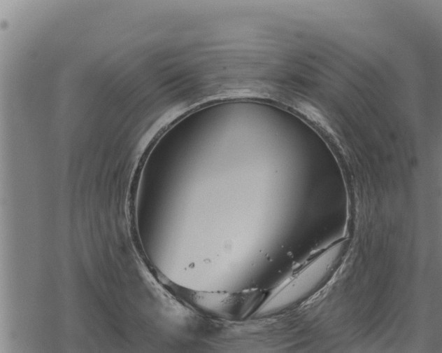 X0000068821181200605121308