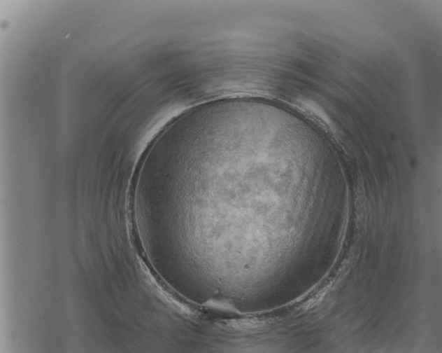 X0000068821182200605121308