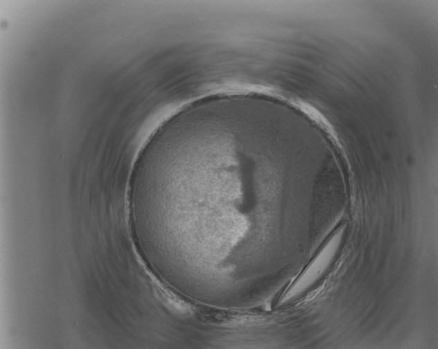 X0000068821183200605121308