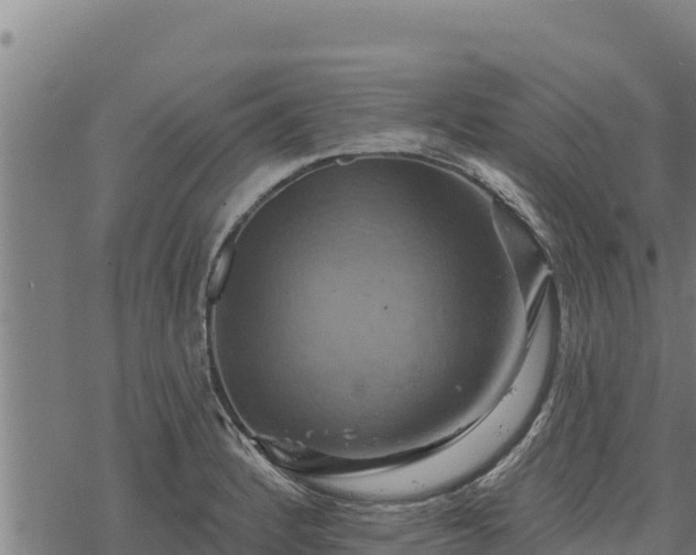 X0000068821184200605121308