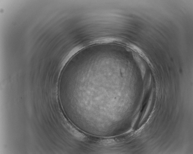 X0000068821186200605121308