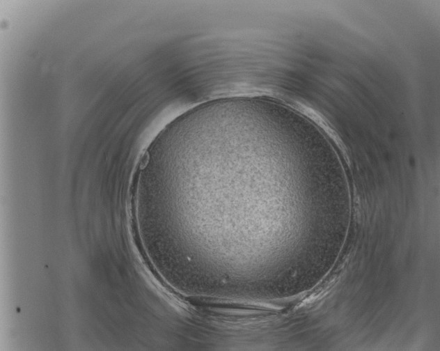 X0000068821187200605121308