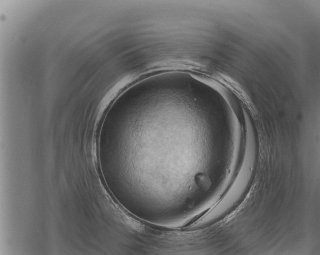 X0000068821188200605121308