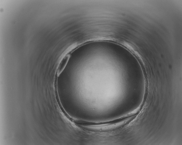 X0000068821189200605121308