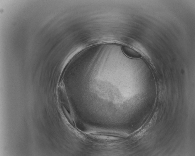 X0000068821190200605121308