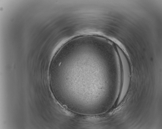 X0000068821191200605121308