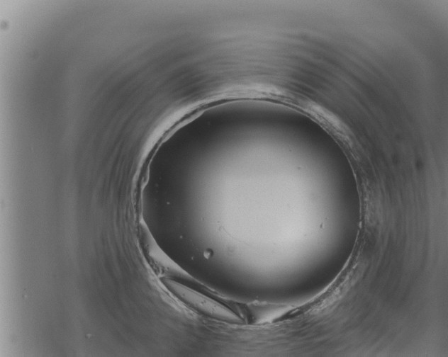 X0000068821192200605121308