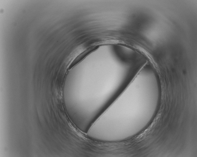 X0000068821193200605121308