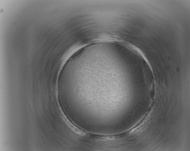 X0000068821195200605121308