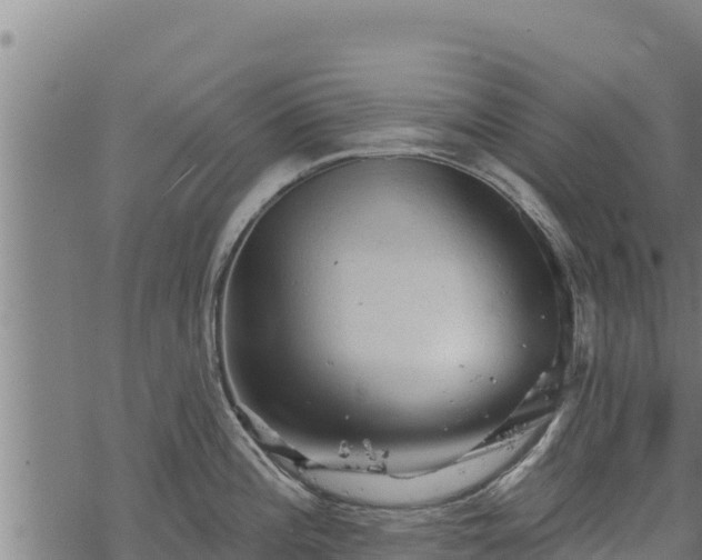 X0000068821196200605121308