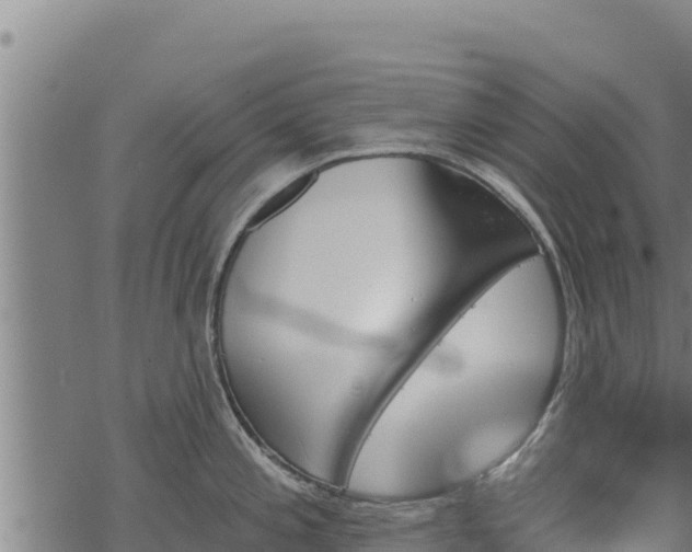 X0000068821197200605121308