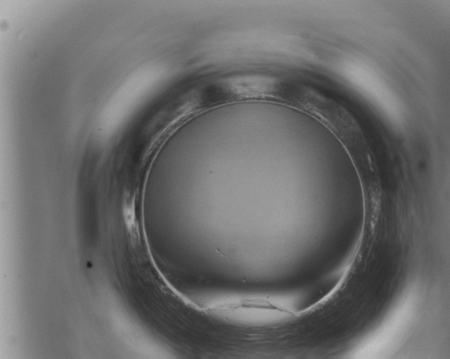 X0000068821198200605121308