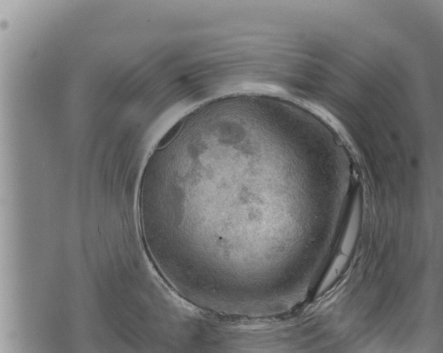 X0000068821199200605121308