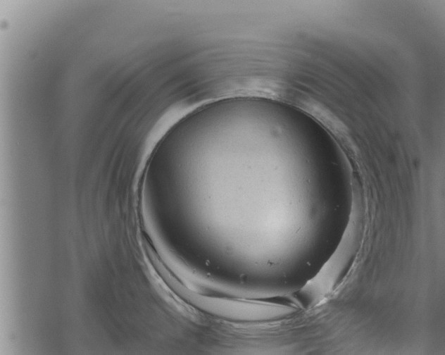 X0000068821200200605121308