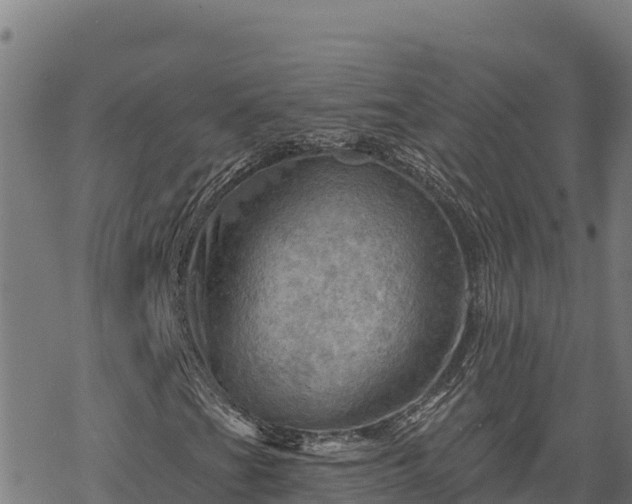 X0000068821201200605121307