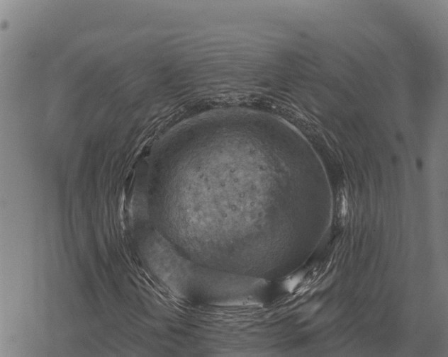 X0000068821202200605121307