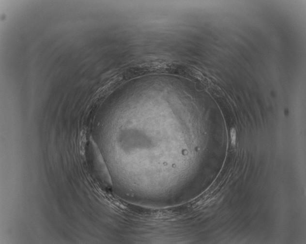 X0000068821203200605121307