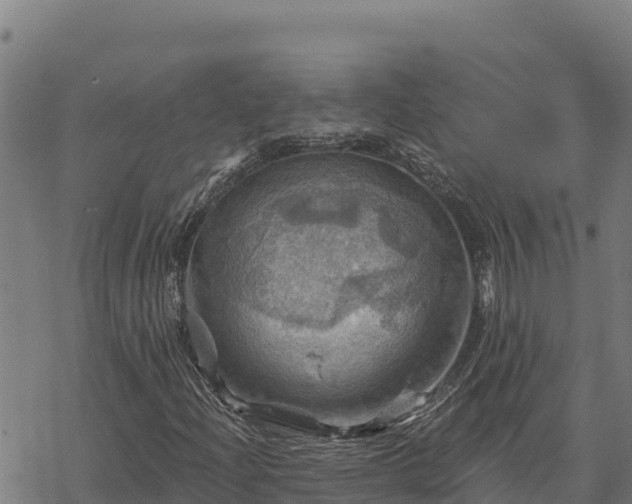 X0000068821204200605121307