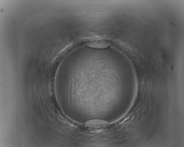 X0000068821205200605121307