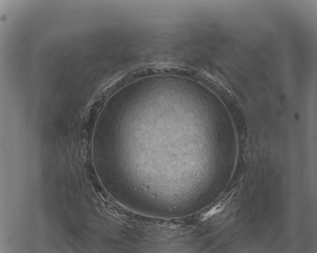 X0000068821207200605121307