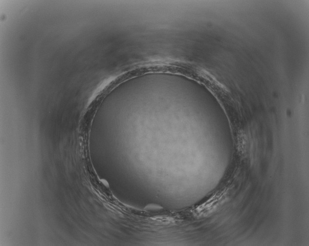 X0000068821208200605121307