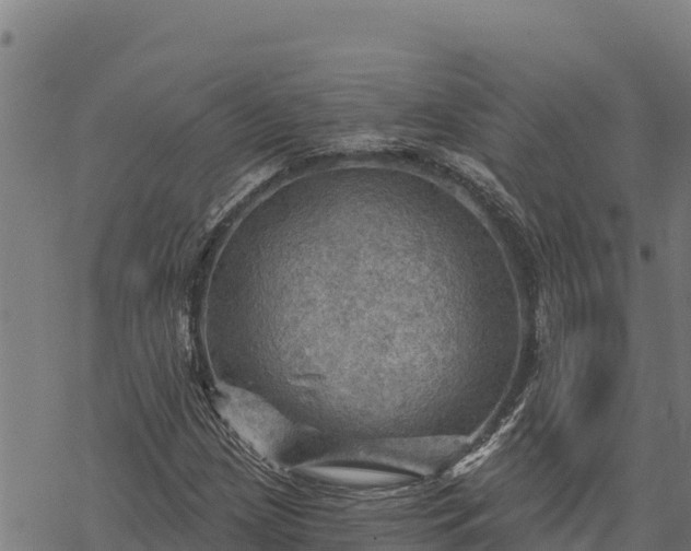 X0000068821209200605121307