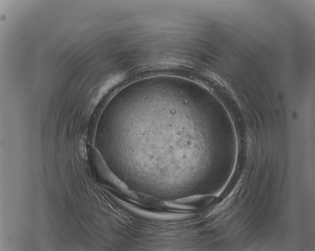 X0000068821210200605121307