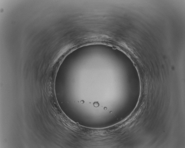 X0000068821211200605121307