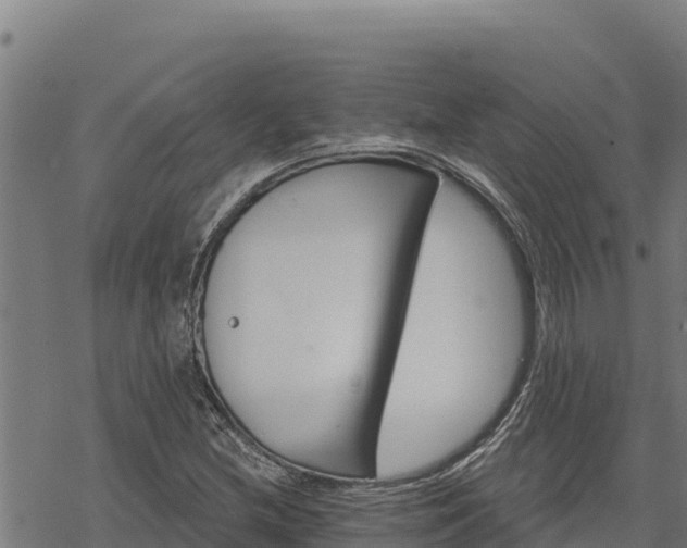 X0000068821212200605121307