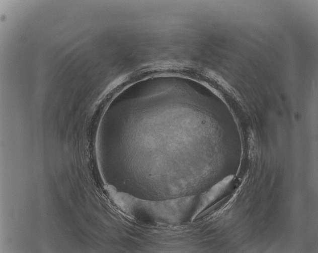 X0000068821213200605121307