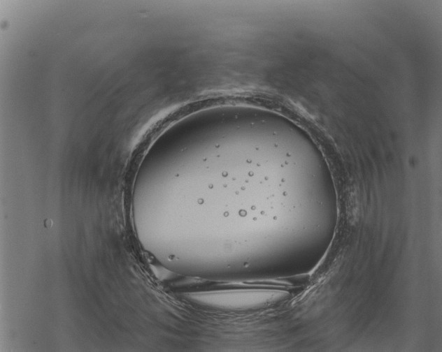 X0000068821214200605121307