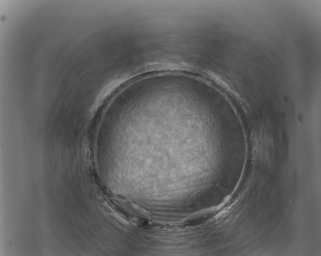 X0000068821215200605121307