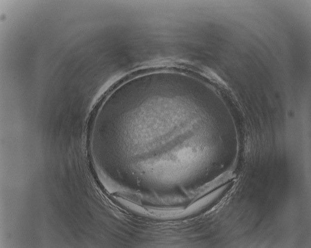 X0000068821216200605121307