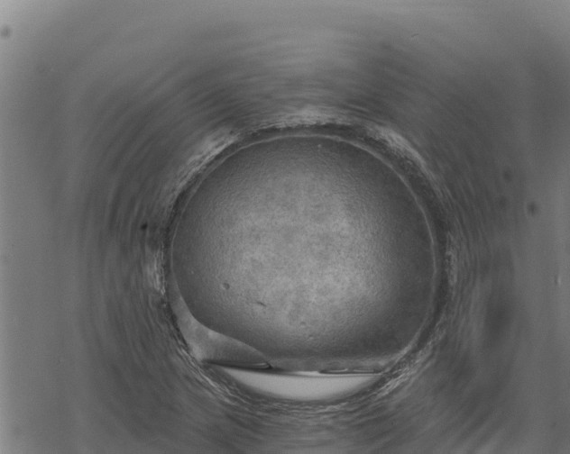 X0000068821217200605121307