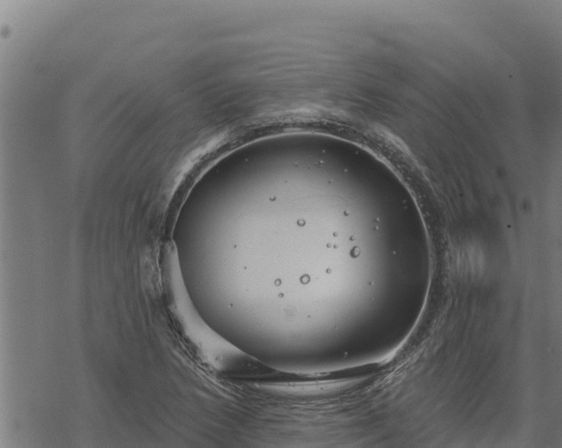 X0000068821218200605121307