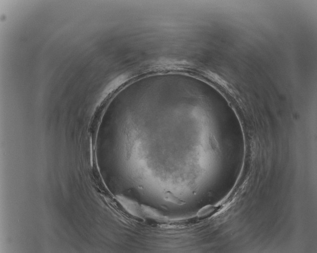 X0000068821219200605121307