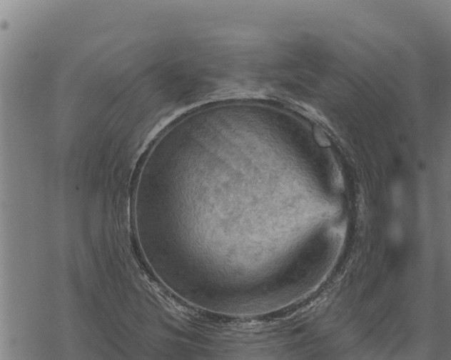 X0000068821220200605121307