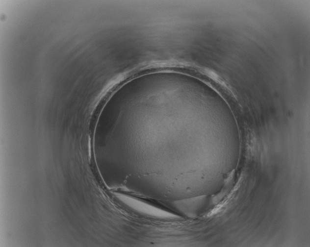 X0000068821221200605121307