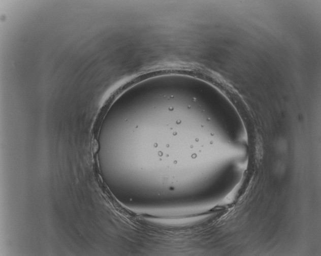 X0000068821222200605121307