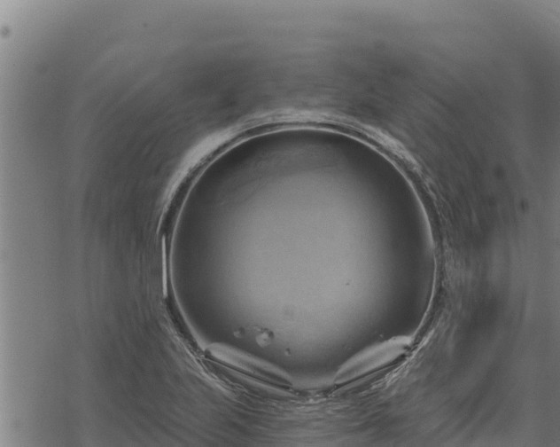 X0000068821223200605121307