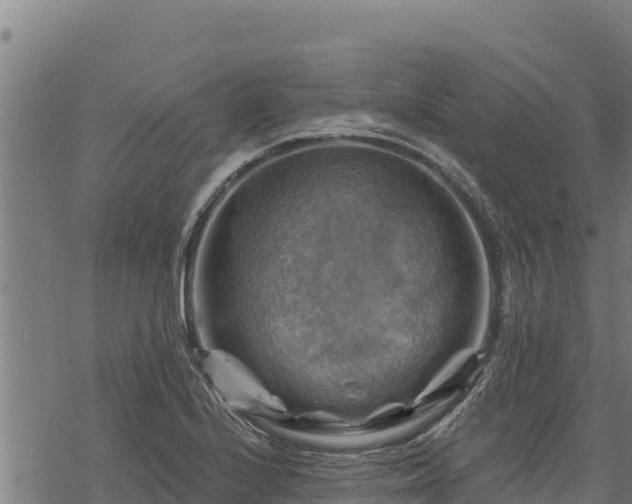 X0000068821224200605121307