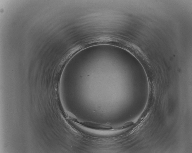 X0000068821225200605121307