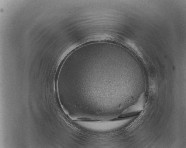 X0000068821226200605121307